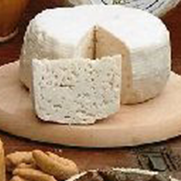 canestrello calabria gusto