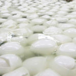 wall-mozzarella-150x150 wall-mozzarella-150x150
